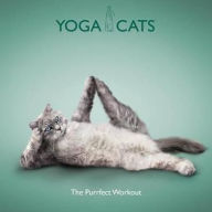 Title: Yoga Cats, Author: Daniel Borris