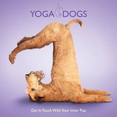 Yoga Dogs