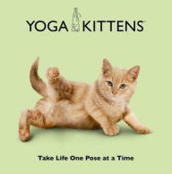 Title: Yoga Kittens: Take Life One Pose at a Time, Author: Daniel Borris