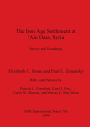 The Iron Age Settlement at Ain Dara, Syria: Survey and Surroundings