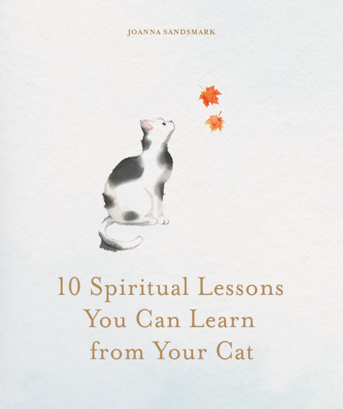 10 Spiritual Lessons You Can Learn from Your Cat: Essential Life Lessons We Can Learn From Our Furry Friend