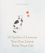 10 Spiritual Lessons You Can Learn from Your Cat: Essential Life Lessons We Can Learn From Our Furry Friend