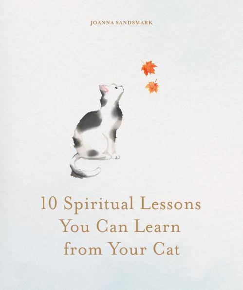10 Spiritual Lessons You Can Learn from Your Cat: Essential Life Lessons We Can Learn From Our Furry Friend