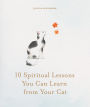 10 Spiritual Lessons You Can Learn from Your Cat: Essential Life Lessons We Can Learn From Our Furry Friend
