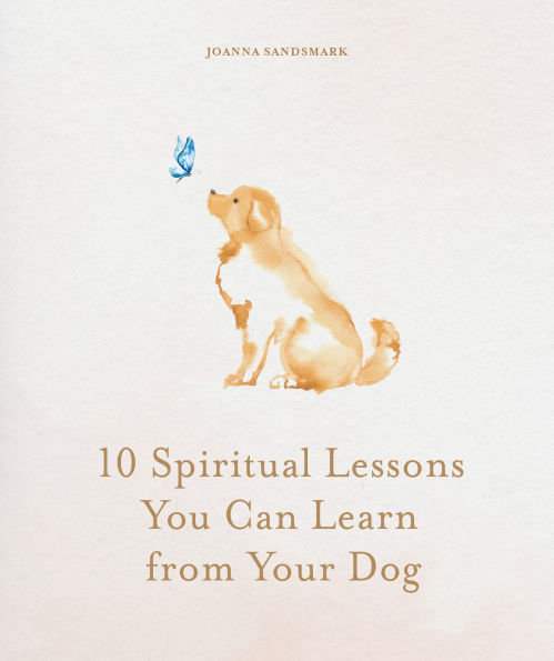 10 Spiritual Lessons You Can Learn from Your Dog: Essential Life Lessons We Can Learn From Our Furry Friend