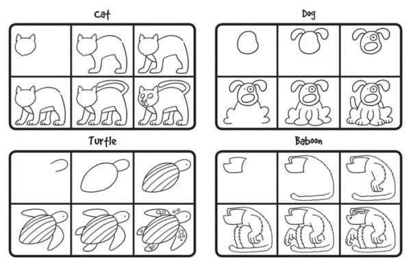 How To Draw 101 Animals - By Imagine That & Barry Green (spiral Bound) :  Target