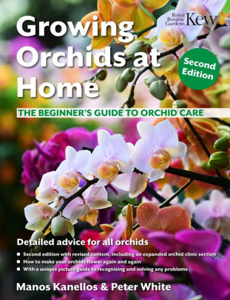 Growing Orchids at Home: The Beginner's Guide to Orchid Care