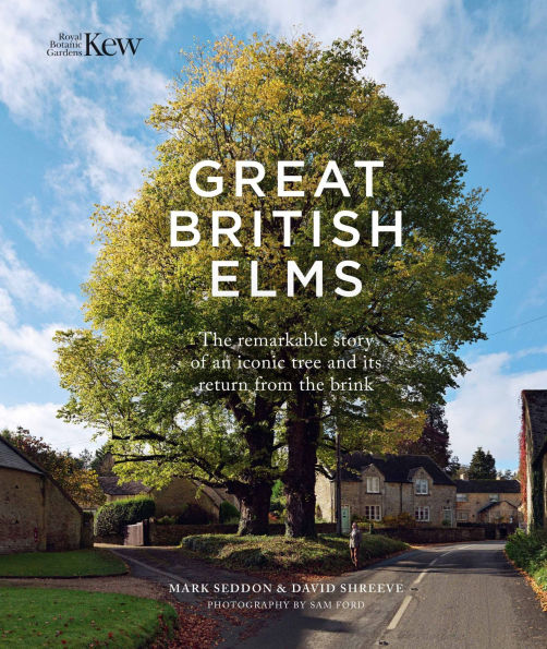Great British Elms