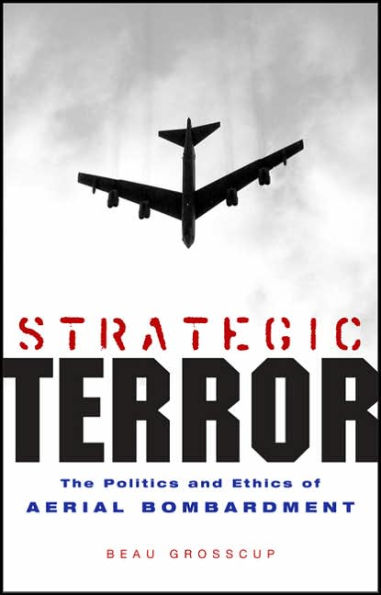 Strategic Terror: The Politics and Ethics of Aerial Bombardment