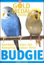 Golden Tips for Keeping Your First Budgie