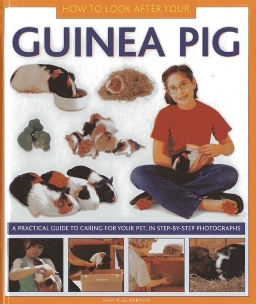 How To Look After Your Guinea Pig: A practical guide to caring for your pet, in step-by-step photographs