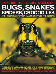 Title: Explore The Deadly World of Bugs, Snakes, Spiders, Crocodiles: The dramatic lives and conflicts of the world's strangest creatures shown in 1500 amazing close-up photographs, Author: Jen Dr. Green