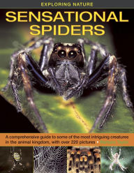 Title: Sensational Spiders: A comprehensive guide to some of the most intriguing creatures in the animal kingdom, with over 220 pictures, Author: Barbara Taylor