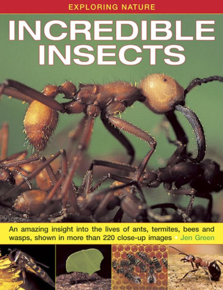 Incredible Insects: An Amazing Insight Into the Lives of Ants, Termites, Bees and Wasps, Shown in More Than 220 Close-Up Images