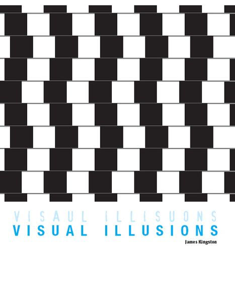 Visual Illusions