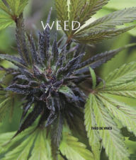 Title: Weed, Author: Daniel Savine