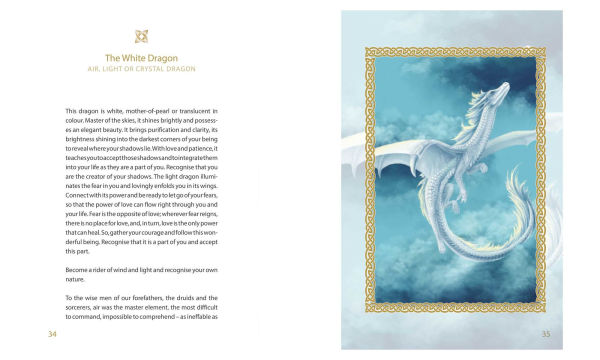 The Little Book of Dragons: Finding your spirit guide