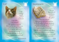 Alternative view 2 of The Animal Allies and Gemstone Guardians Cards