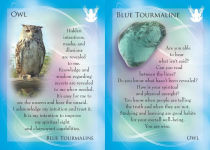 Alternative view 3 of The Animal Allies and Gemstone Guardians Cards