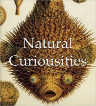 Title: Natural Curiousities, Author: Parkstone Press