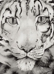 Title: The Snow Leopard, Author: Jackie Morris