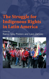 Title: The Struggle for Indigenous Rights in Latin America, Author: Nancy Grey Postero