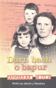 Title: Darn Bach o Bapur, Author: Angharad Tomos