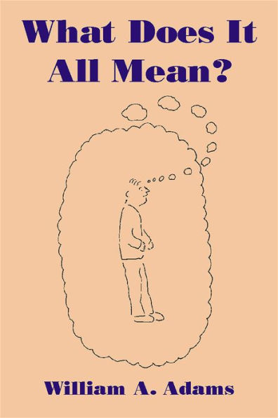 What Does It All Mean?: A Humanistic Account of Human Experience