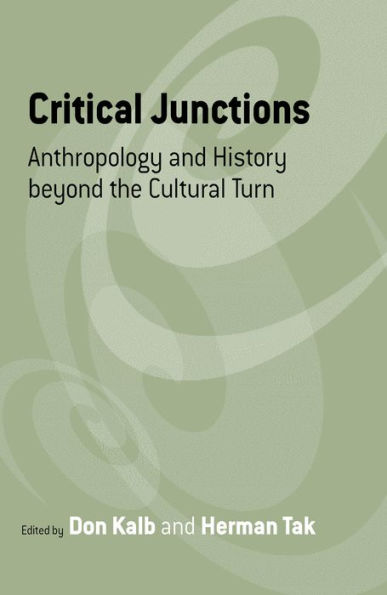 Critical Junctions: Anthropology and History beyond the Cultural Turn / Edition 1