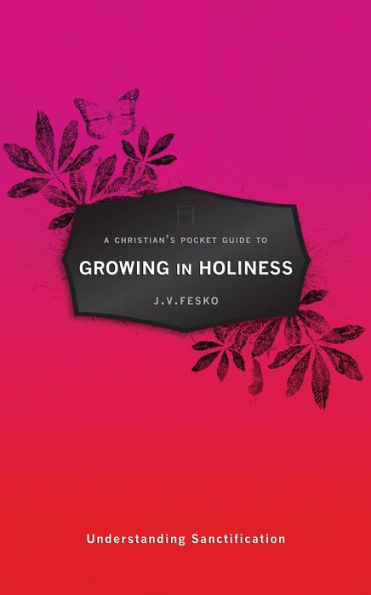 A Christian's Pocket Guide to Growing in Holiness: Understanding Sanctification