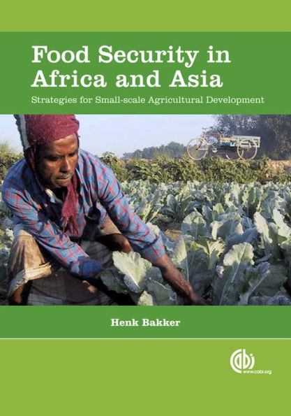 Food Security in Africa and Asia: Strategies for Small-scale Agricultural Development