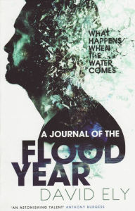 Title: A Journal Of The Flood Year, Author: David Ely