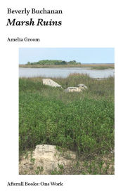 Title: Beverly Buchanan: Marsh Ruins, Author: Amelia Groom