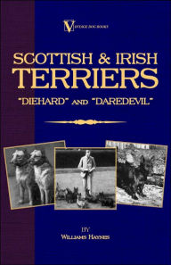 Title: Scottish Terriers and Irish Terriers - 