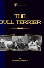 The Bull Terrier