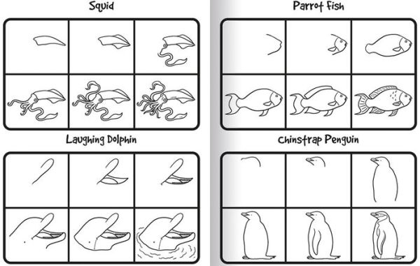 How to Draw 101 Dolphins