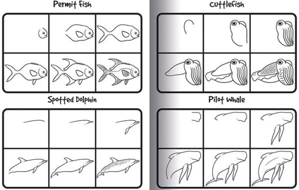 How to Draw 101 Dolphins