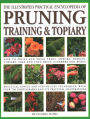 Illustrated Practical Encyclopedia of Pruning, Training and Topiary: How to Prune and Train Trees, Shrubs, Hedges, Topiary, Tree and Soft Fruit, Climbers and Roses - Practical Advice and Step-by-Step Techniques, with over 800 Photographs and 100 Practical