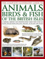 The Complete Illustrated Guide to Animals, Birds & Fish of the British Isles: A Natural History And Identification Guide With Over 440 Native Species From England, Ireland, Scotland And Wales