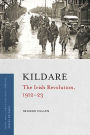 Kildare: The Irish Revolution, 1912-23