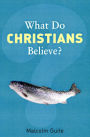 What Do Christians Believe?: Belonging and Belief in Modern Christianity