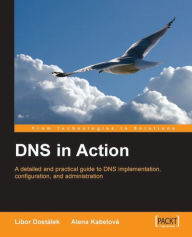 Title: DNS in Action, Author: Alena Kabelova