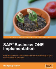 Title: SAP Business ONE Implementation, Author: Wolfgang Niefert