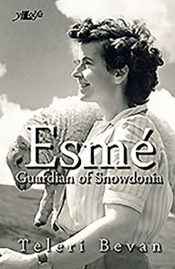 Title: Esme: Guardian of Snowdonia, Author: Teleri Bevan