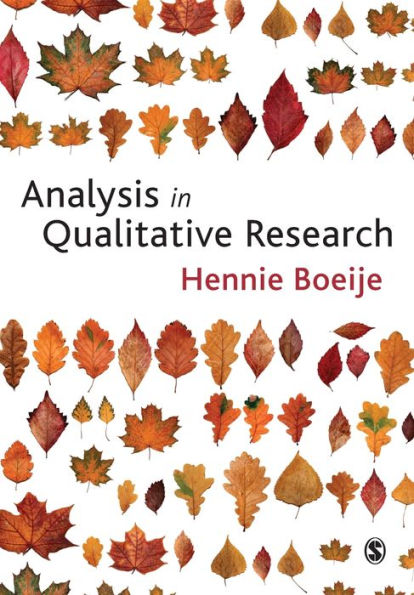 Analysis in Qualitative Research / Edition 1