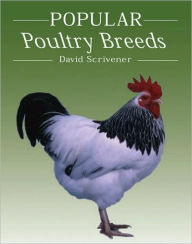 Title: Popular Poultry Breeds, Author: David Scrivener