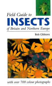 Title: FIELD GUIDE TO INSECTS OF BRITAIN AND NORTHERN EUROPE, Author: Bob Gibbons