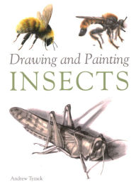 Title: Drawing and Painting Insects, Author: Andrew Tyzack