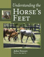 Understanding the Horse's Feet