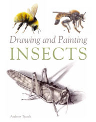 Title: Drawing and Painting Insects, Author: Andrew Tyzack